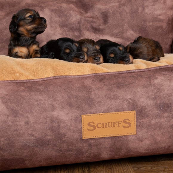 Scruffs Pet Kensington Box Bed, product image 8