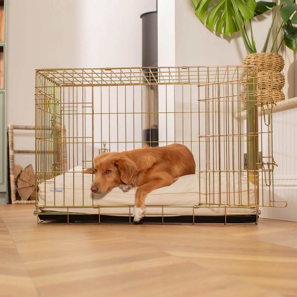 Lords and Labradors Savanna Dog Cushion, product image 10