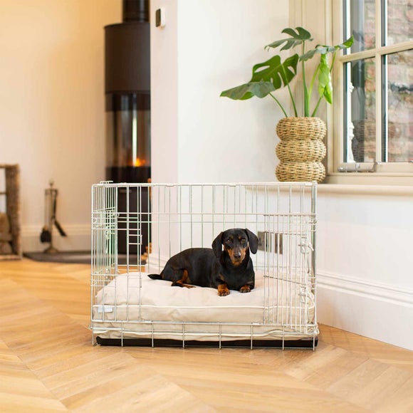 Lords and Labradors Savanna Dog Cushion, product image 1
