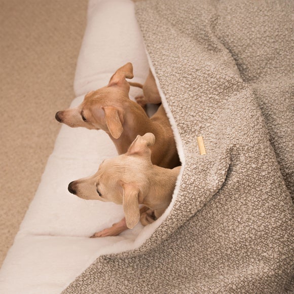 Lords and Labradors Boucle Sleepy Burrow Dog Bed, product image 15