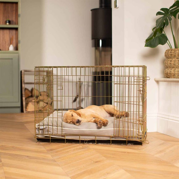 Lords and Labradors Savanna Dog Cushion, product image 13
