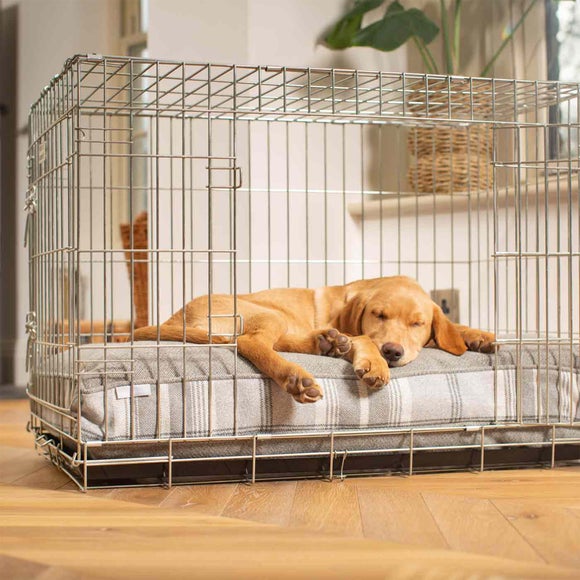 Lords and Labradors Balmoral Dog Cushion, product image 5