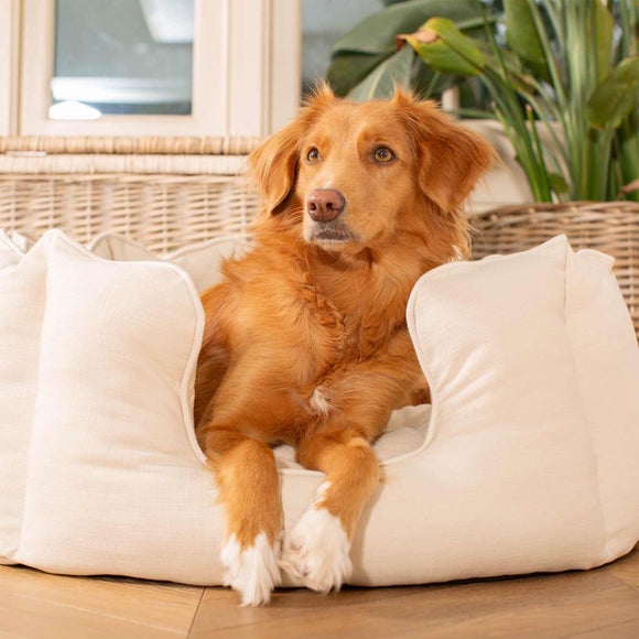 Lords and Labradors Savanna High Wall Dog Bed, product image 14