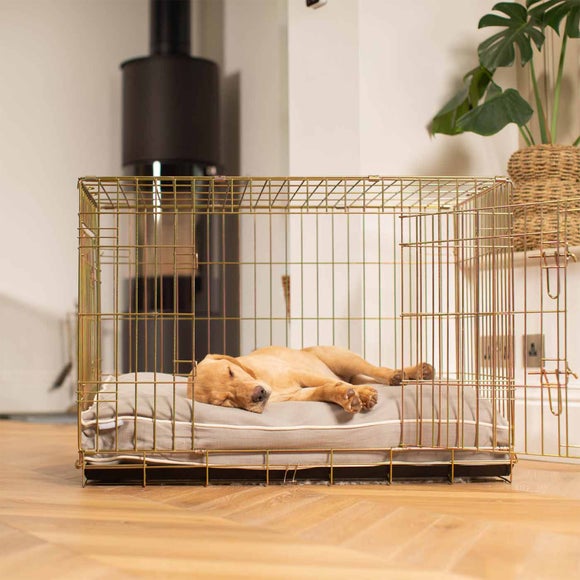 Lords and Labradors Savanna Dog Cushion, product image 23