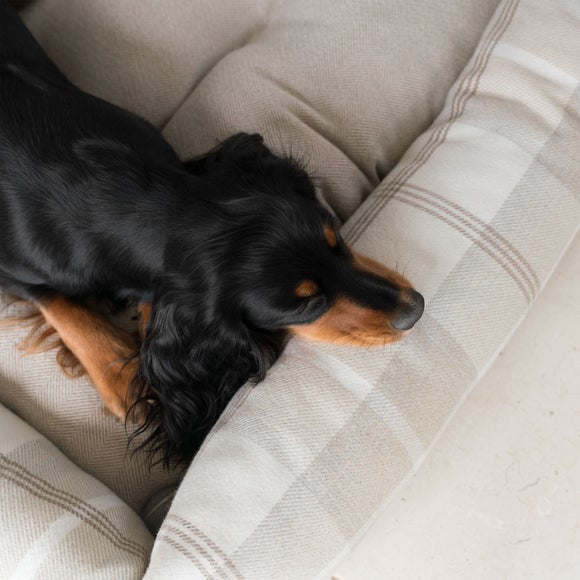 Lords and Labradors Balmoral Box Dog Bed, product image 21