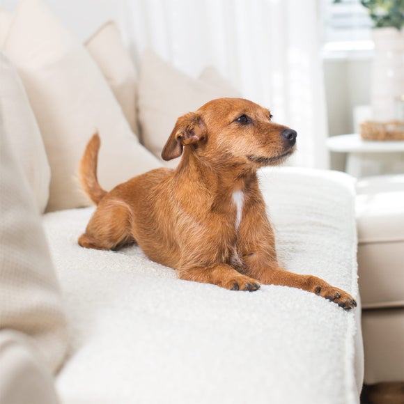 Lords and Labradors Boucle Pet Sofa Topper, product image 6