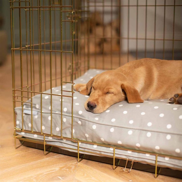 Lords and Labradors Spotty Dog Cushion, product image 2