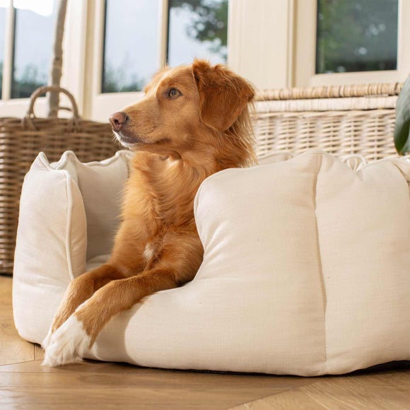 Lords and Labradors Savanna High Wall Dog Bed, product image 5