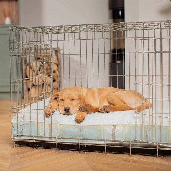 Lords and Labradors Balmoral Dog Cushion, product image 29