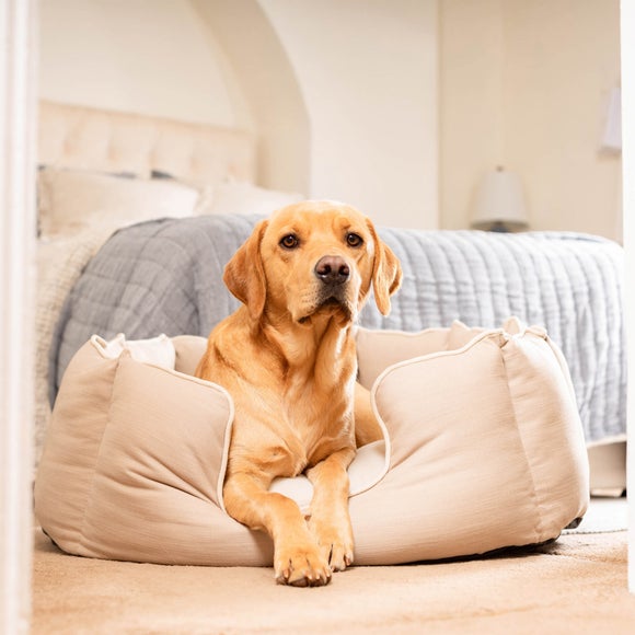 Lords and Labradors Savanna High Wall Dog Bed, product image 7