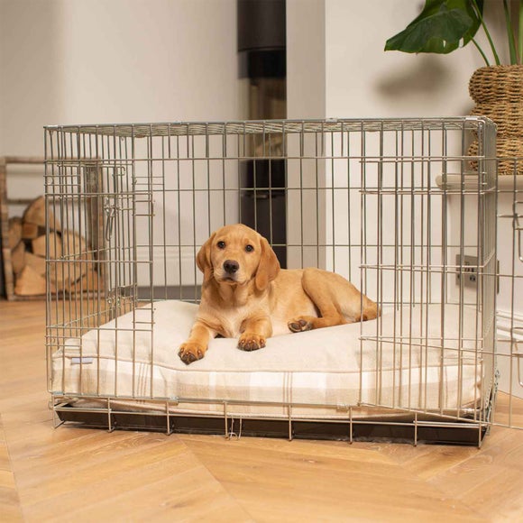Lords and Labradors Balmoral Dog Cushion, product image 24