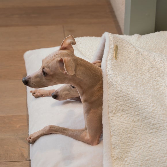 Lords and Labradors Boucle Sleepy Burrow Dog Bed, product image 24