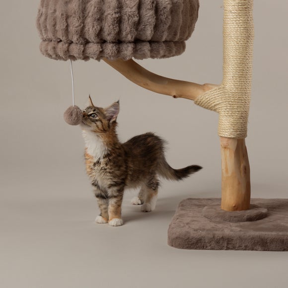 Scruffs Pyrenees Cat Scratching Tree, product image 3
